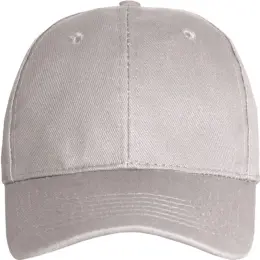 FWRD Promo 6 Panel Cap Grey Front